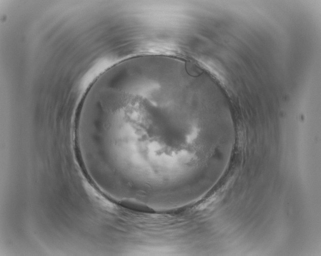 X0000088481471200705221405