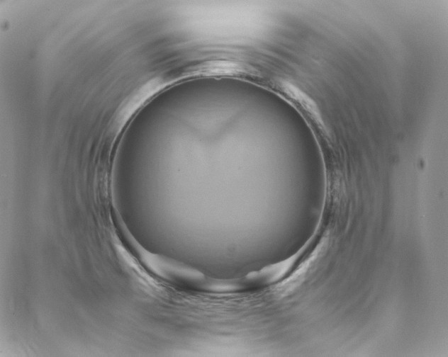 X0000088481473200705221405