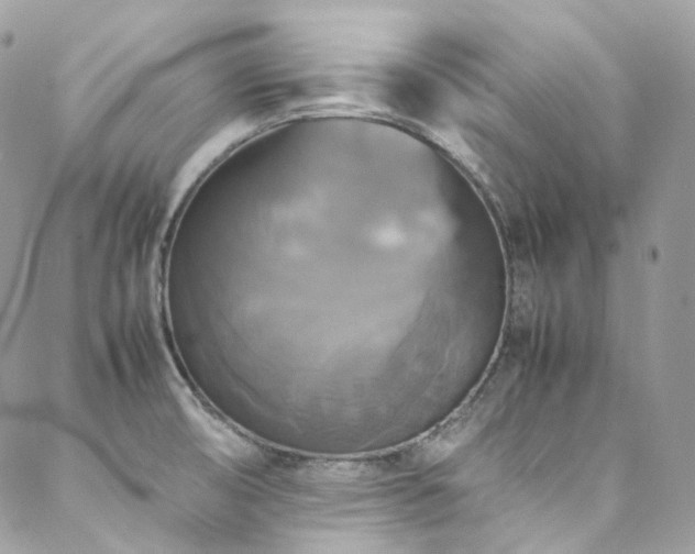 X0000088481474200705221405