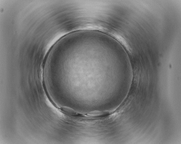 X0000088481476200705221404