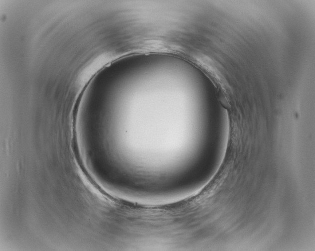 X0000088481479200705221404