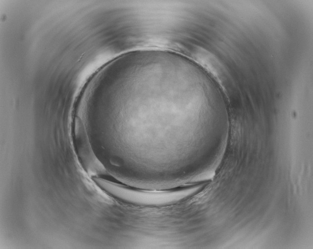 X0000088481480200705221404