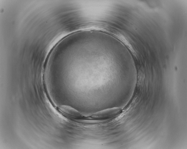 X0000088481484200705221404