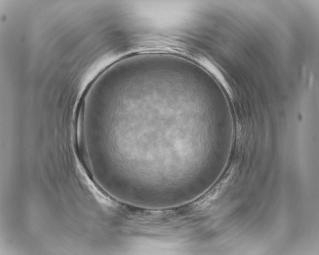 X0000088481485200705221404