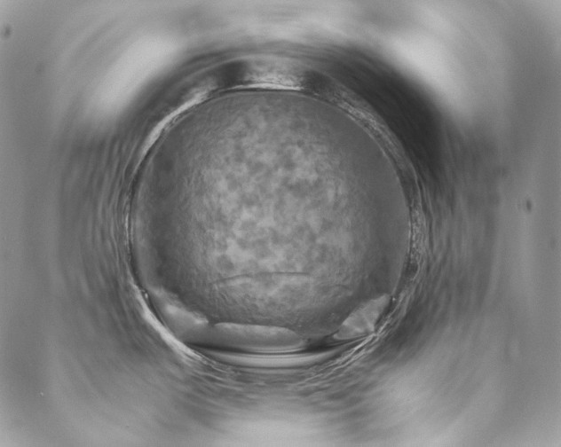 X0000088481487200705221404