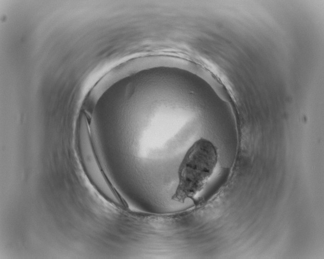 X0000088481520200705221404