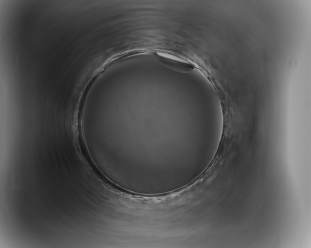 X0000088480002200705291637