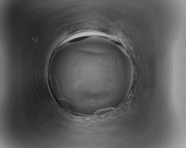 X0000088480003200705291637