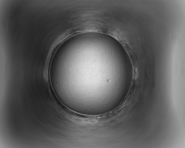 X0000088480004200705291637