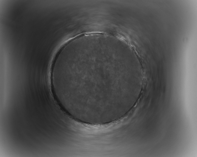 X0000088480006200705291637