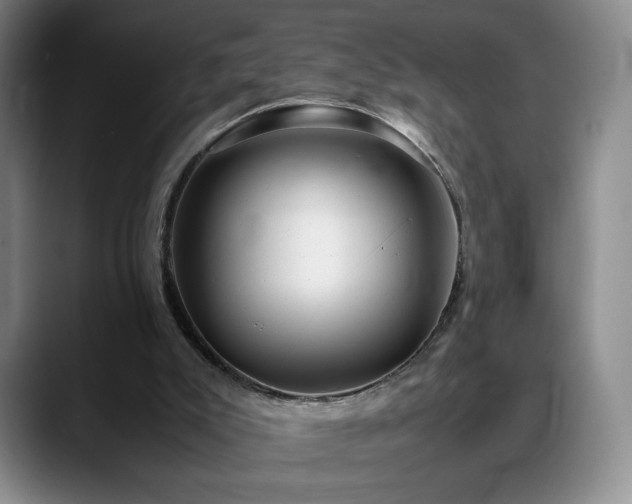 X0000088480007200705291637