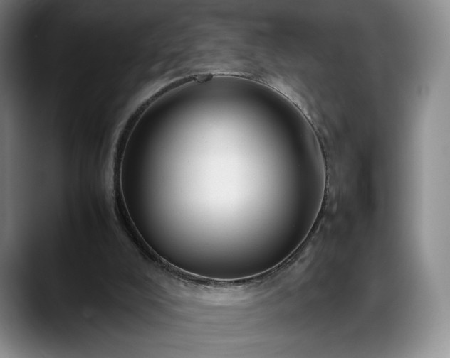 X0000088480008200705291637
