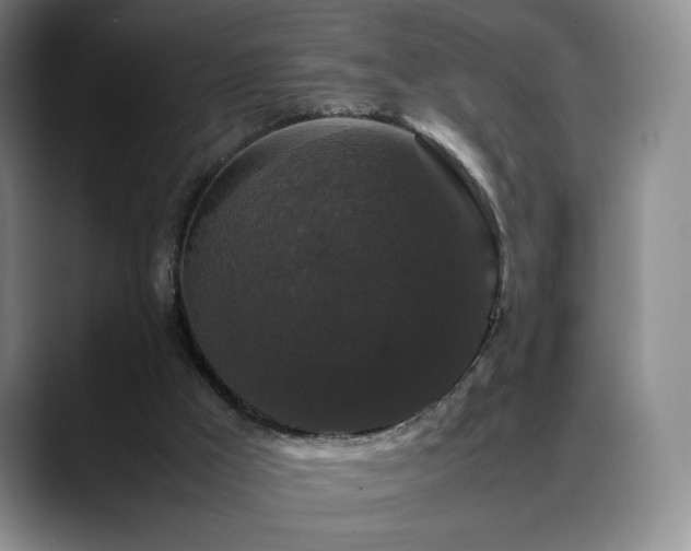 X0000088480009200705291637