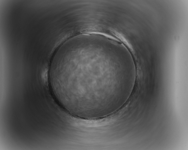 X0000088480010200705291637