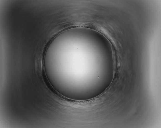 X0000088480011200705291636