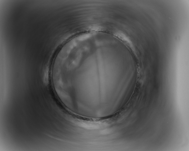 X0000088480012200705291636