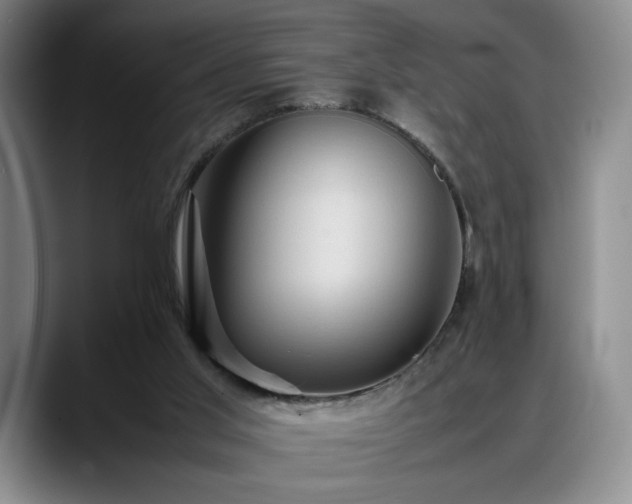 X0000088480013200705291636