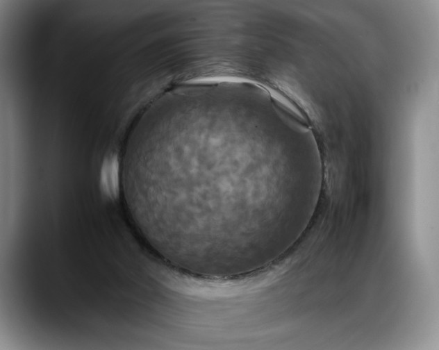 X0000088480014200705291636
