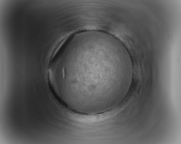 X0000088480015200705291636