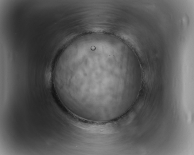 X0000088480016200705291636