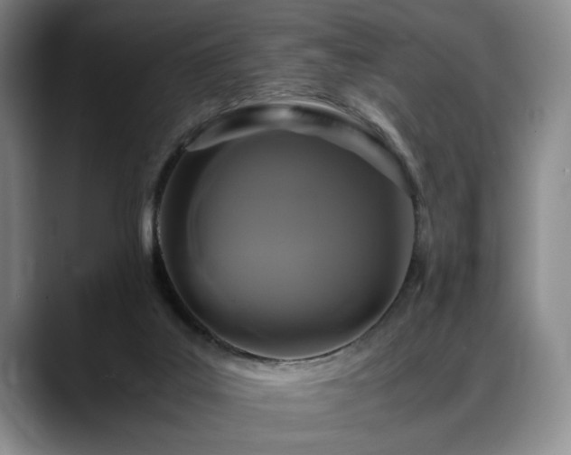 X0000088480019200705291636