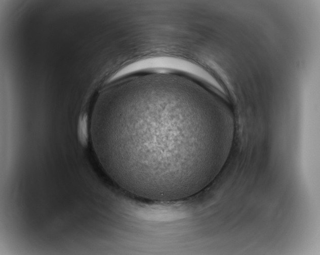 X0000088480020200705291636
