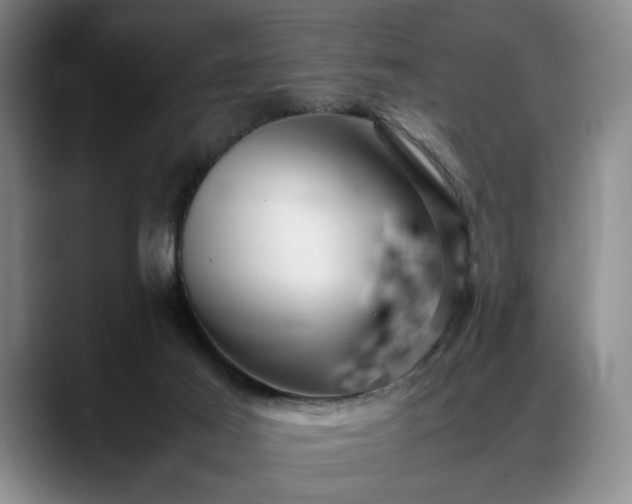 X0000088480021200705291636