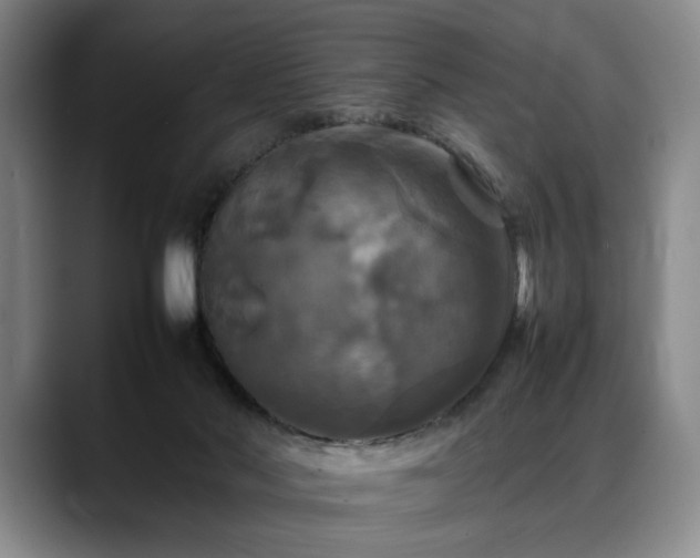 X0000088480022200705291636