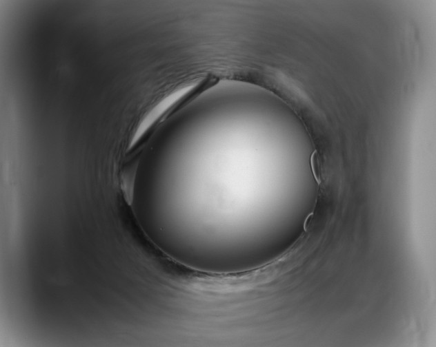 X0000088480025200705291636