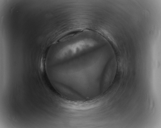X0000088480026200705291636