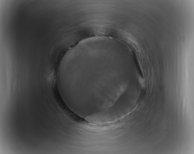 X0000088480029200705291636