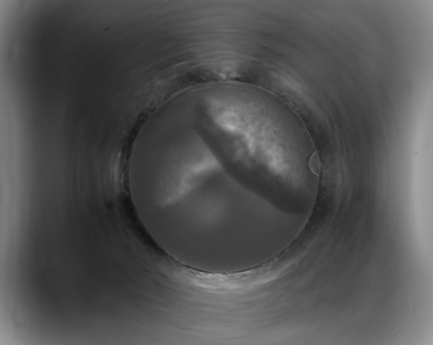 X0000088480030200705291636