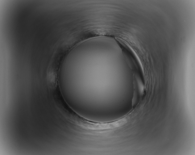 X0000088480031200705291636