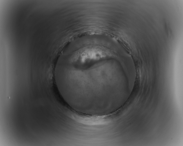 X0000088480032200705291636