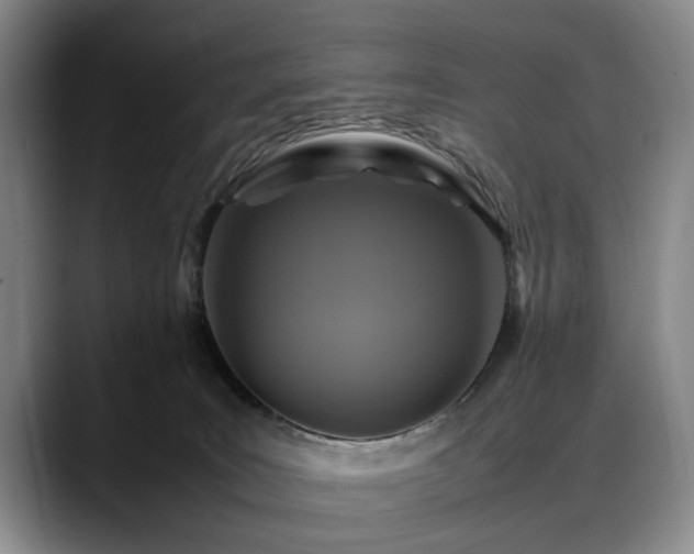 X0000088480035200705291636