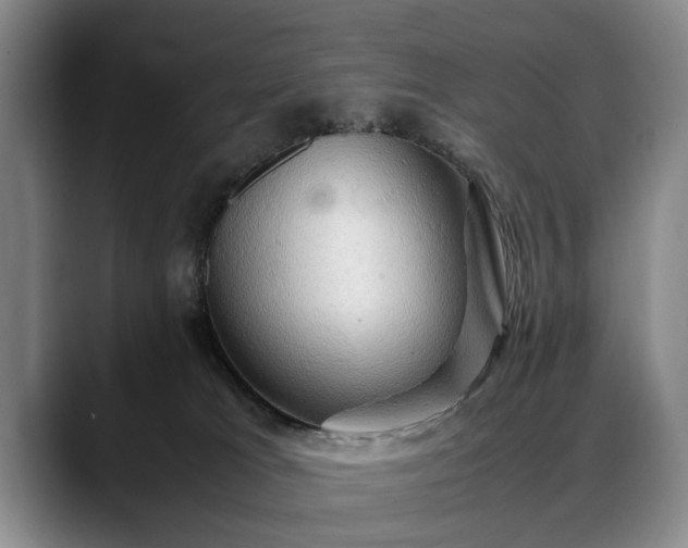 X0000088480037200705291636
