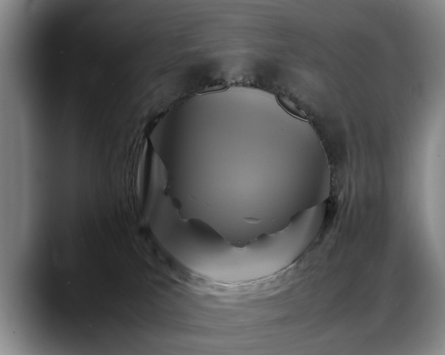 X0000088480039200705291636