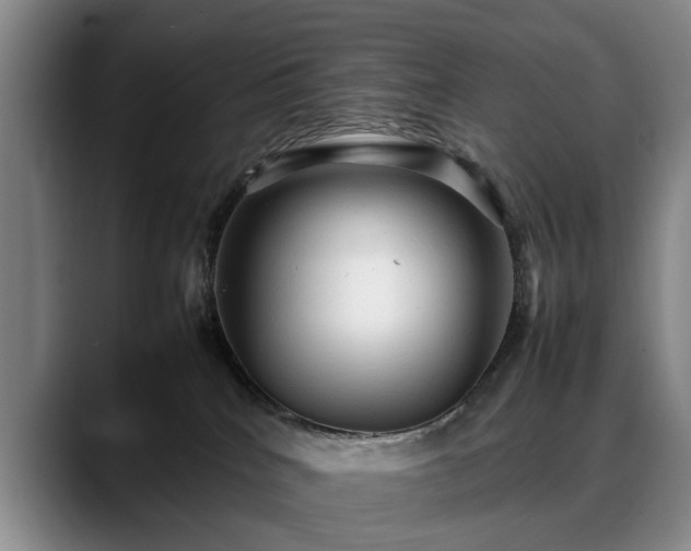 X0000088480040200705291636
