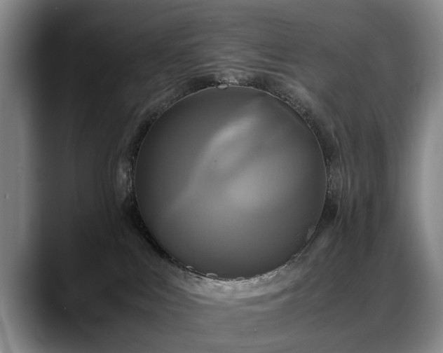 X0000088480043200705291636