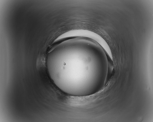 X0000088480045200705291636