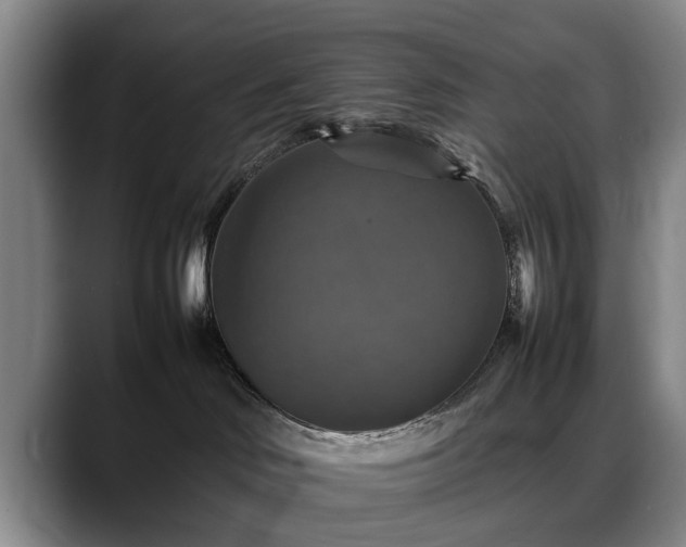 X0000088480046200705291636