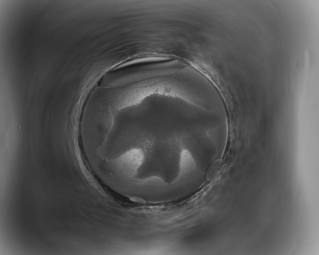 X0000088480049200705291635