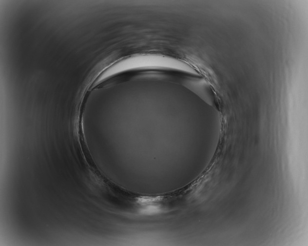 X0000088480051200705291635