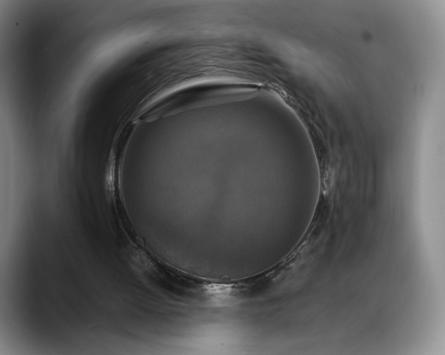 X0000088480052200705291635