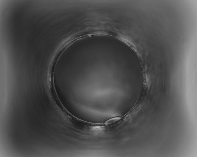 X0000088480053200705291635