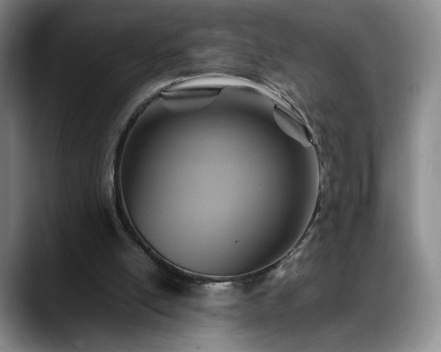 X0000088480054200705291635