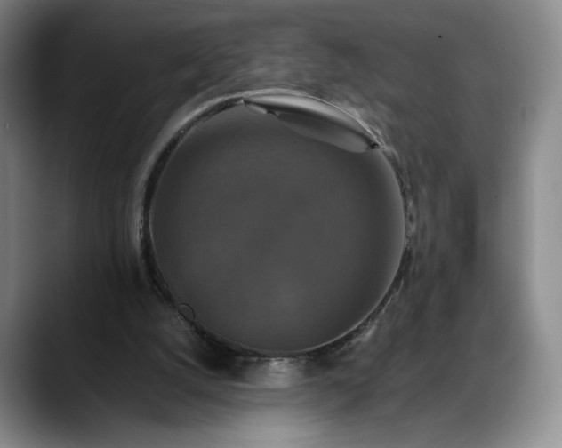 X0000088480056200705291635