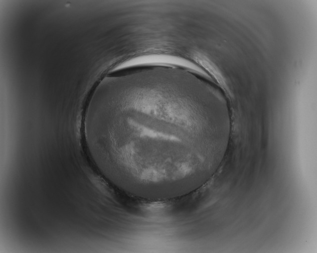 X0000088480058200705291635
