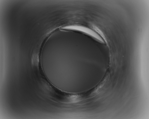 X0000088480059200705291636