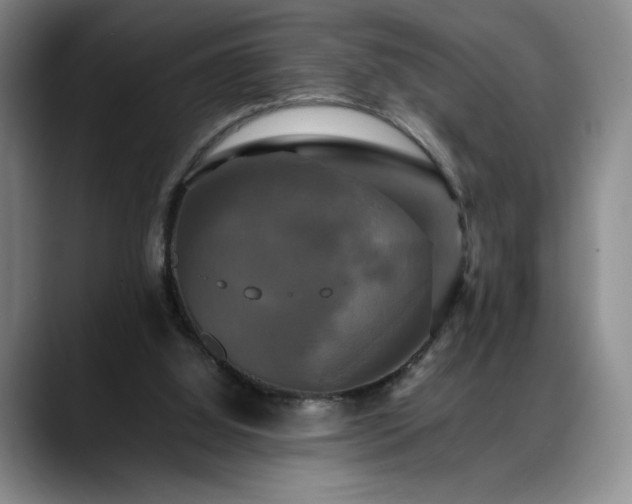 X0000088480060200705291636